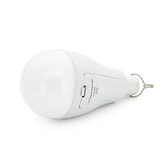 DR Лампочка с аккумуляторами 2*18650 Emergency Bulb, 20W, Box