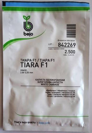 Насіння капусти Тіара F1 (Бейо / Bejo) 2500 насінин — рання (54 дні), білоголова., фото 2