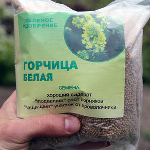 Гірчиця вагова біла (на сидерати) — відновлює багаті ґрунти, фото 2