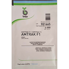 Насіння капусти Амтрак F1 (Бейо/Bejo) 2500 насіння — пізні (140 днів), для зберігання, білочана