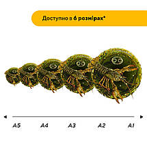 Пазл дерев'яний Знак Зодіаку Рак, А5, Картонна коробка, фото 3