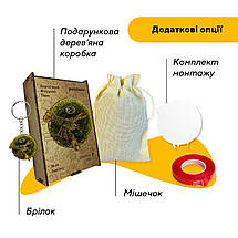 Пазл дерев'яний Знак Зодіаку Рак, А5, Картонна коробка, фото 6