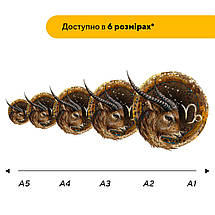 Пазл дерев'яний Знак Зодіаку Козеріг, А5, Картонна коробка, фото 3