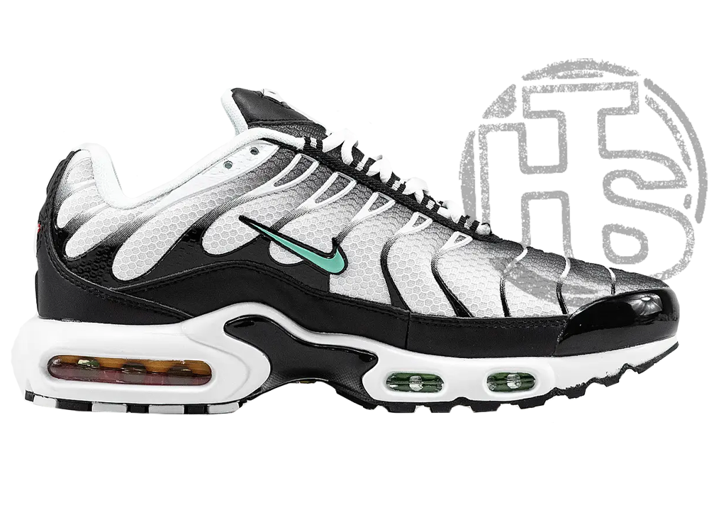 Чоловічі кросівки Nike Air Max Plus White Black Mint Green DH4776-100