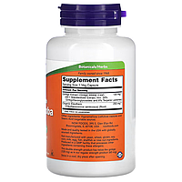 Ginkgo Biloba 120 мг Now Foods 100 капсул, фото 2