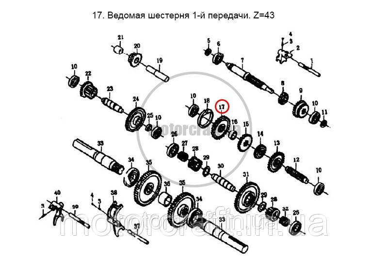 Ведомая шестерня 1-й передачи Z=43 - фото 2 - id-p30143900