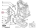 Масляний фільтр на Fiat Qubo, Peugeot Bipper, Citroen Nemo (2008-...) 1.4, 9467521180, 1109CK, фото 4