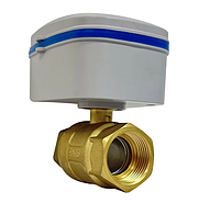 Розумний кран з акумулятором 1/2" 1DAL | Автономний кульовий ZigBee кран DN15 (EBV15.ZB), фото 5