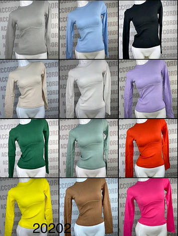 Лонгслів молодіжний, кофта оздоблена швом під грудьми, кольори в асортименті розмір 38-46, фото 2