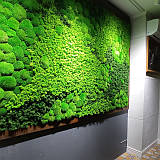 Картини з моху