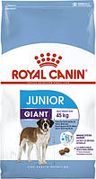 Royal Canin Giant Junior - сухой корм для щенков очень крупных пород (от 8 месяцев) 17 кг