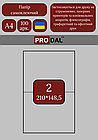 Етикетка клейка А4 2шт (210х148,5)