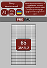 Етикетка клейка А4 65шт (38х21,2)