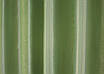 Комплект штор (2шт. 1,5х2,7м.) з тканини софт. Колір салатовий. Код 1436ш 33-0311, фото 9