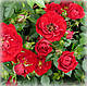 Троянда Ред Каскад (Red Cascade), грунтопокривна в контейнері, фото 2