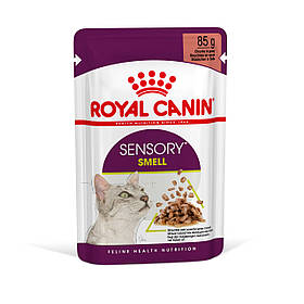 Вологий корм для дорослих котів ROYAL CANIN SENSORY SMELL GRAVY 0.085 кг, cтимулює нюхові рецептори, 0.085 кг