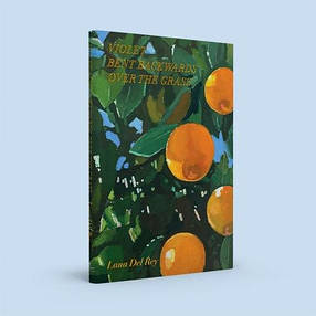 Violet Bent Backwards Over the Grass - Lana Del Rey Simon and Schuster, фото 3