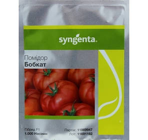 Насіння томата Бобкат F1, 1000 насіння — середньо-ранній, червоний, детермінантний, круглий, Syngenta, фото 2