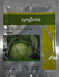 Насіння капусти Зенон F1 (Syngenta) 2500 насіння — пізній гібрид (130-135 днів), для зберігання, білочана.