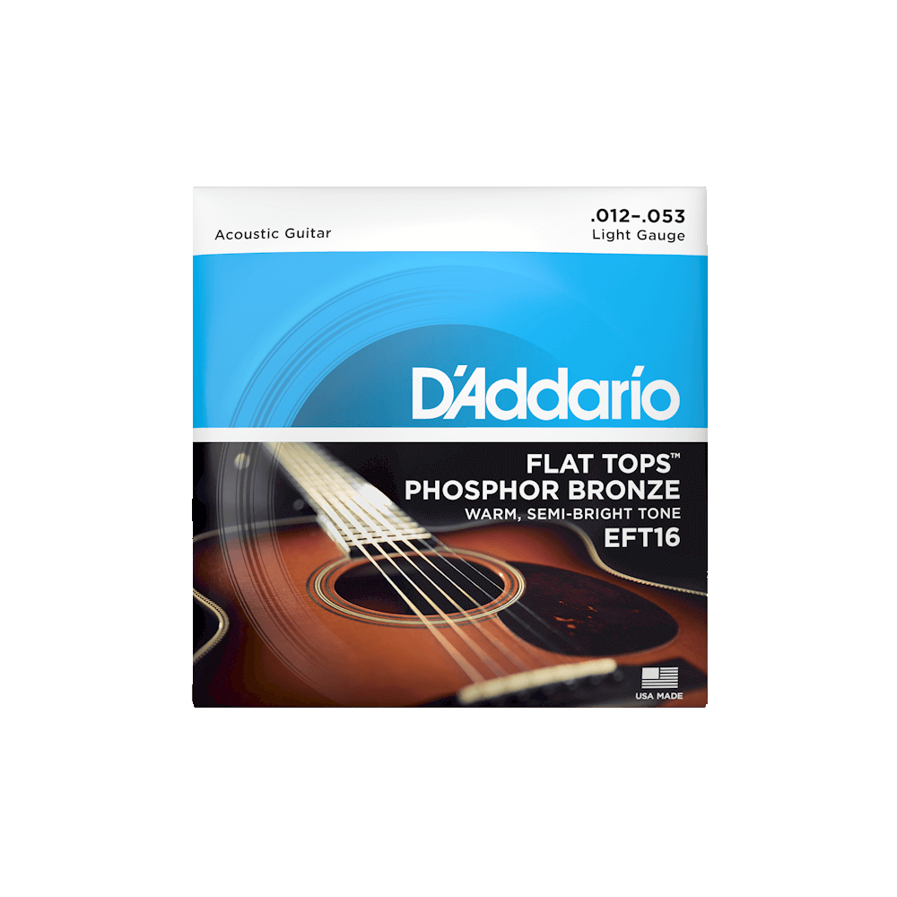 Струны D'addario EFT16 Flat Tops Phosphor Bronze Light 12-String (12-53), фото 1