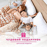 Набір подушка 50х70 см 2 шт та євро ковдра 200х220 см Elegantly IDEIA аналог лебединого пуху, штучний пух, фото 10