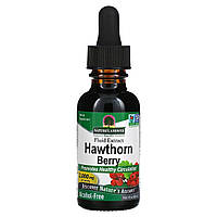 Екстракт Ягід глоду, 2000 мг, Hawthorn Berry, Nature's Answer, 30 мл