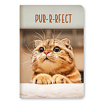 Блокнот А6 96 арк инт обл клітинка лам Коти 426 Асорті, фото 3