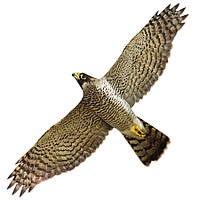 Відлякувач птахів ХИЖАК-1 УЦІНКА!!! від ластівок, голубів, горобців