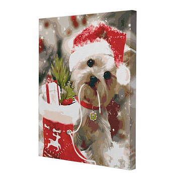 Riviera Blanca Картина за номерами Вітання 40x50 см (RB-0307)