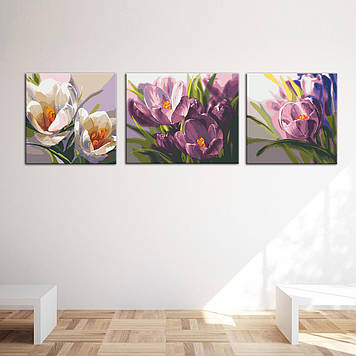 Комплект картин за номерами Riviera Blanca Крокуси (ITR-073) 3 шт в наборі