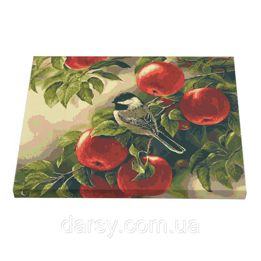 Riviera Blanca Картина за номерами Гостя (40x50) (ВА-0019), фото 1