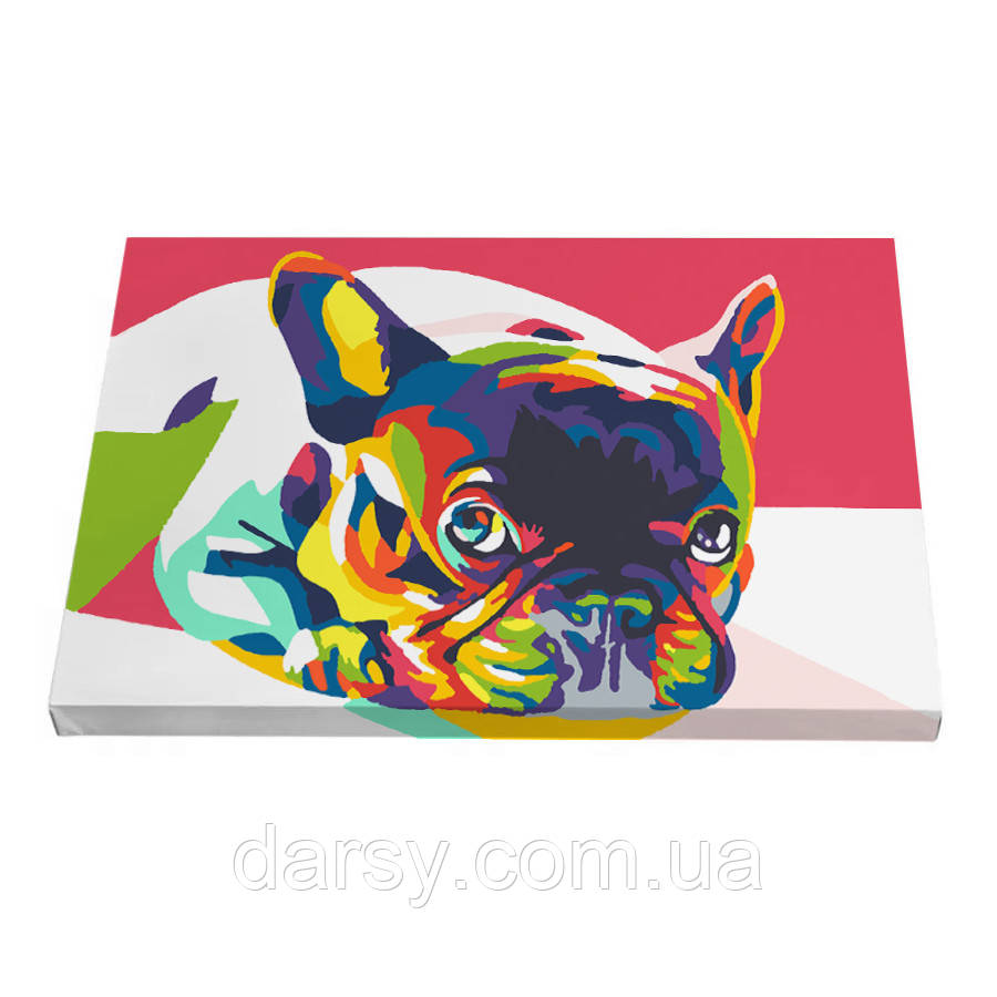 Riviera Blanca Картина за номерами Кольоровий пес 28x40 см (RB-0159), фото 1