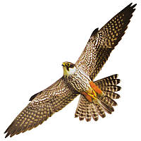 Відлякувач птахів ХИЖАК-2 УЦІНКА!! від ластівок, голубів, горобців