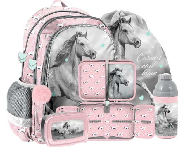 Рюкзак портфель шкільний для дівчинки Рaso Shades of pink комплект 5в1