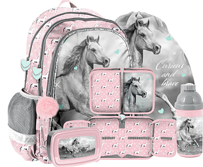 Рюкзак портфель шкільний для дівчинки Рaso Shades of pink комплект 5в1