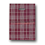 Поліетиленовий пакет із прорізною ручкою розмір 28х42 "Клітка" ХВГ 50 шт/уп., фото 5