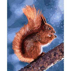 Набір для розпису по номерам 40*50см Маленька білочка КНО4205