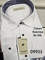 Біла сорочка на довгий рукав, кнопка Palmen classic з принтом