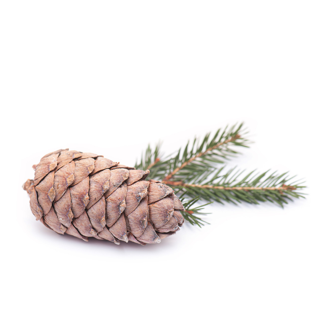 

Эфирное масло кедра атласского (гималайского), натуральное. Антисептическое