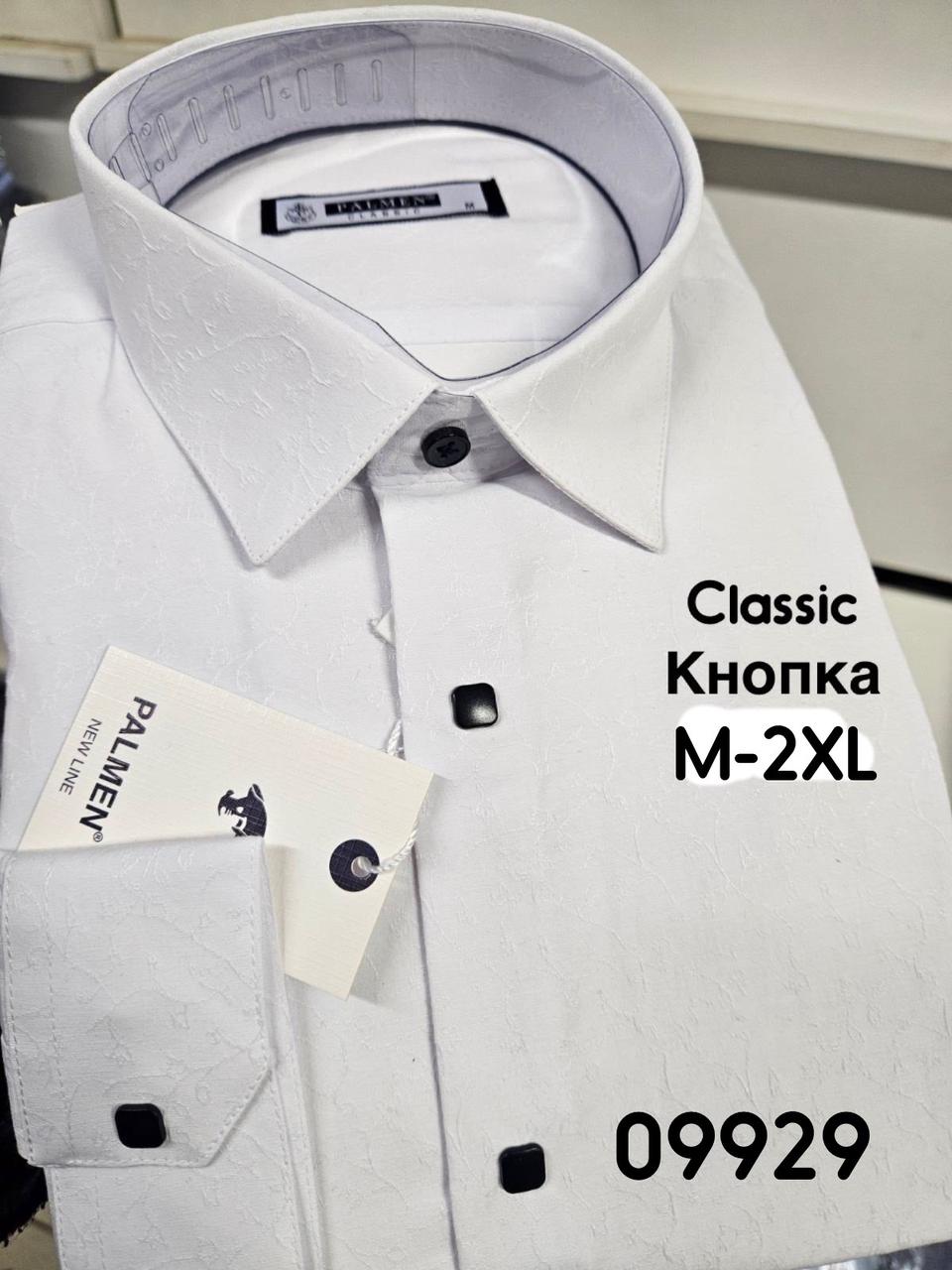 Біла сорочка на довгий рукав, кнопка Palmen classic з принтом