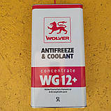 Антифриз концентрат WOLVER WG12+ червоний 5л, фото 4