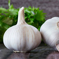 Часник Messidrome 100 г