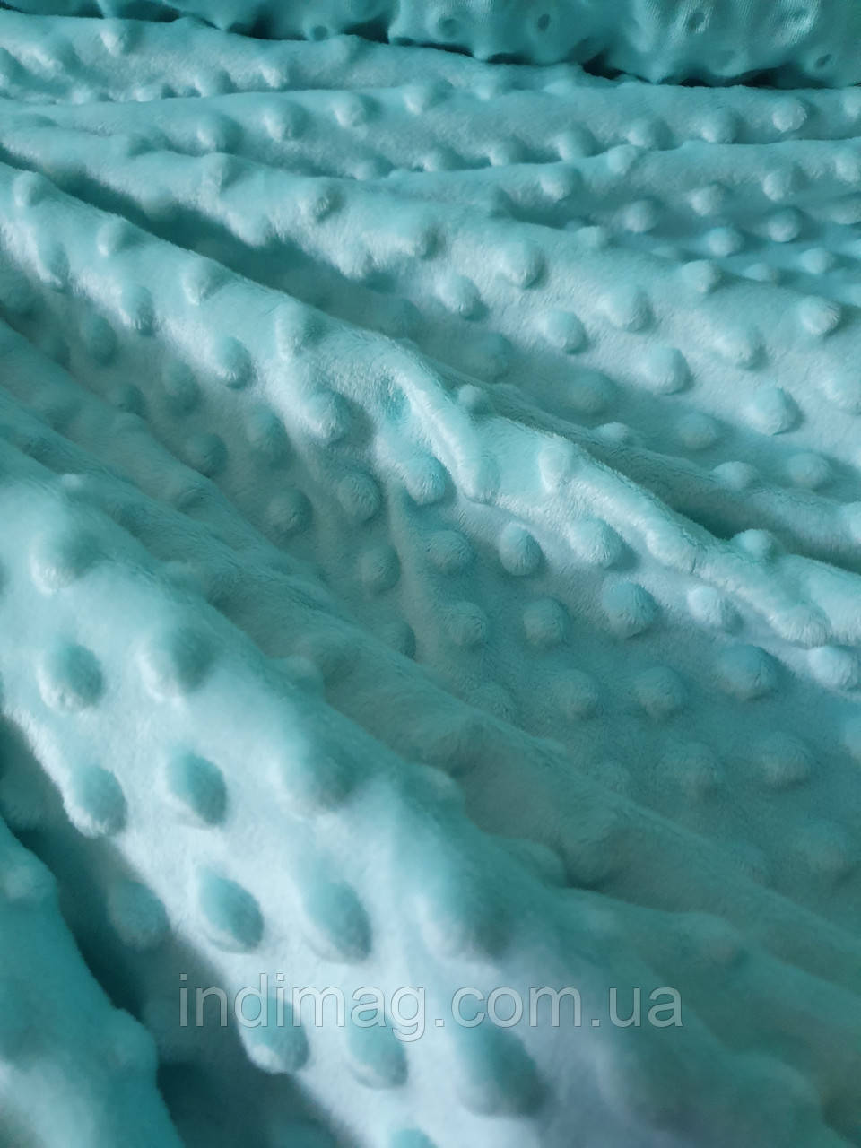 Плюш Minky м'ятний 280/м2, фото 1
