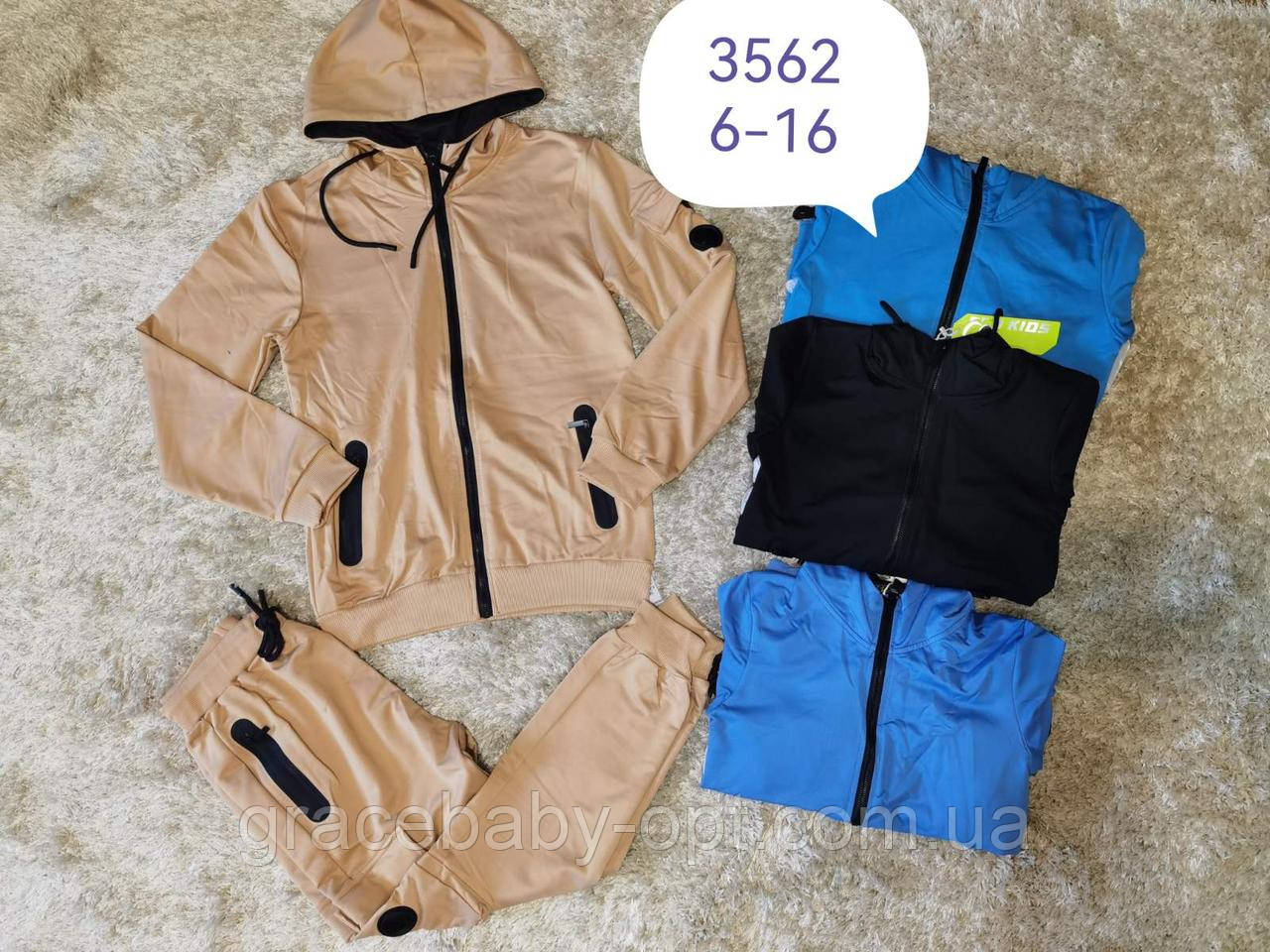 Спортивний костюм 2 в 1 для хлопчика оптом, F&D, 6-16 років, № 3562, фото 1