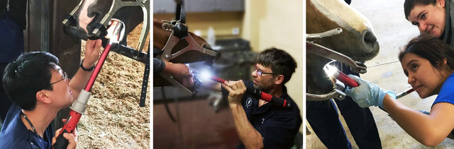 Стоматологическая бормашина для лошадей Terafloat LED