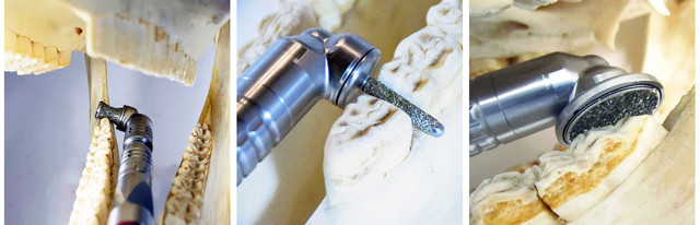 Стоматологическая бормашина для лошадей Terafloat LED