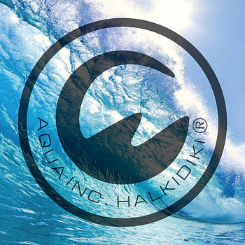 САП дошки AQUA INC.