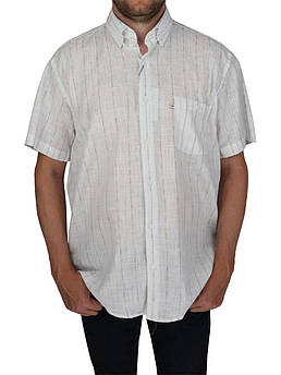 Льняна чоловіча сорочка Desibel A-9089-C C.02