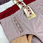 Жіночі трусики #3306 Мікс, фото 4