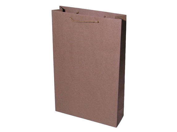 Пакет подарунковий крафт 170 г, 25 х 39 х 08 см Бежевий Unison PVC253908, фото 1